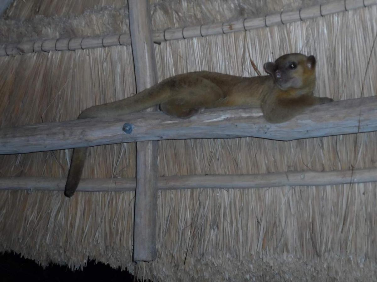 Hotel Villas Chicanna エクステリア 写真