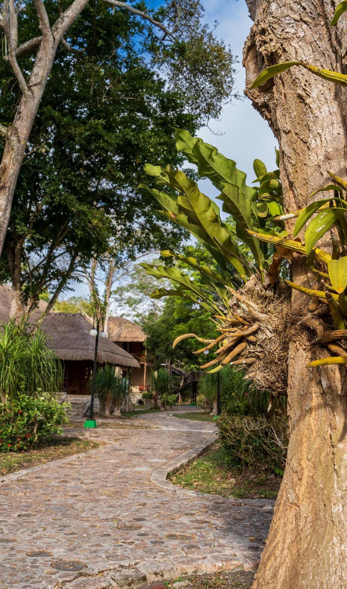 Hotel Villas Chicanna エクステリア 写真